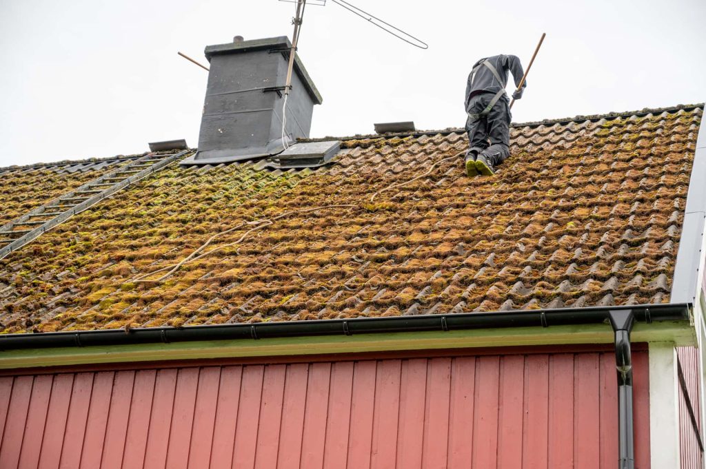 Roof moss removal Manchester