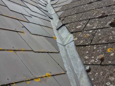 Fakesville roof moss remover